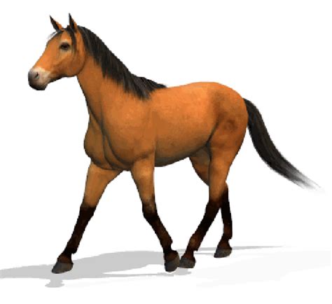 horse cartoon porn|3d Animated Horse Porn Videos 